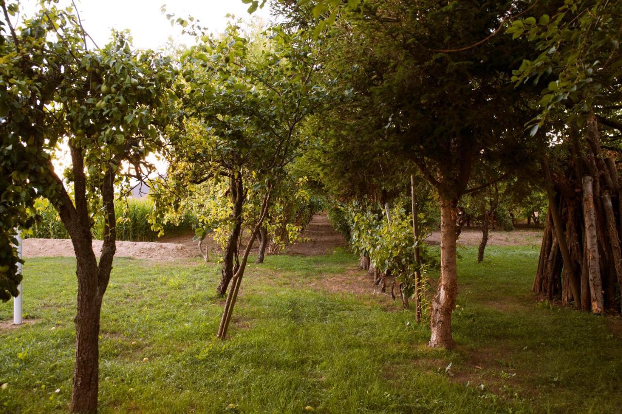 Domaine Des 4Roses -Spa Et Serenite Villa Furdenheim Bagian luar foto